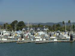 The sparsely populated San Leandro Marina